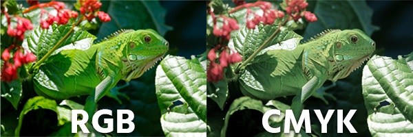 afbeelding in rgb en cmyk