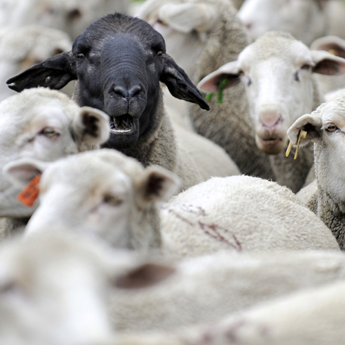 onderscheidend vermogen